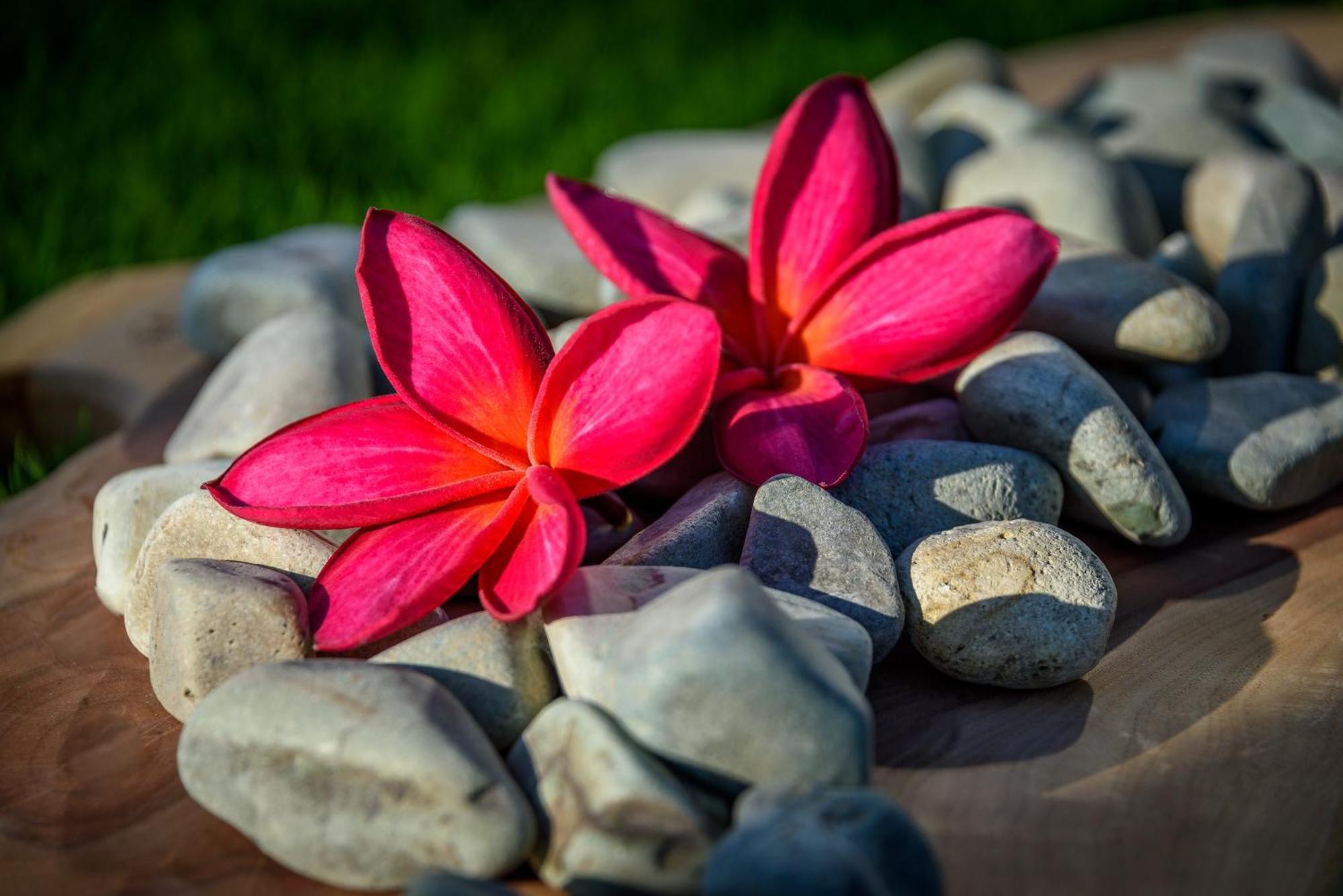 Private Villas Of Bali Nusa Dua  Rom bilde